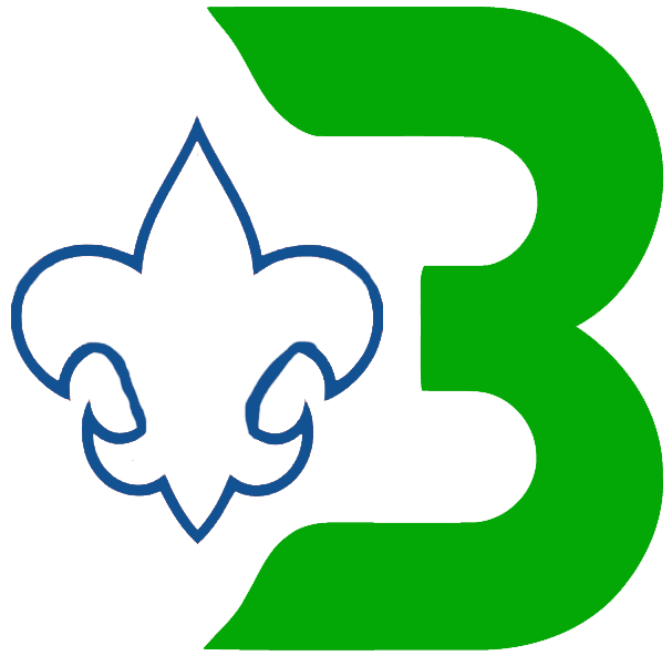Binghamton Whalers 1980 81-1989 90 Misc Logo iron on transfers for T-shirts